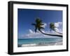 Fakarawa, Tuamotu Archipelago, French Polynesia, Pacific Islands, Pacific-Sergio Pitamitz-Framed Photographic Print