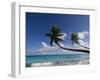 Fakarawa, Tuamotu Archipelago, French Polynesia, Pacific Islands, Pacific-Sergio Pitamitz-Framed Photographic Print