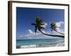 Fakarawa, Tuamotu Archipelago, French Polynesia, Pacific Islands, Pacific-Sergio Pitamitz-Framed Photographic Print