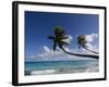 Fakarawa, Tuamotu Archipelago, French Polynesia, Pacific Islands, Pacific-Sergio Pitamitz-Framed Photographic Print