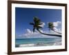 Fakarawa, Tuamotu Archipelago, French Polynesia, Pacific Islands, Pacific-Sergio Pitamitz-Framed Photographic Print