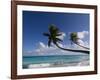 Fakarawa, Tuamotu Archipelago, French Polynesia, Pacific Islands, Pacific-Sergio Pitamitz-Framed Photographic Print