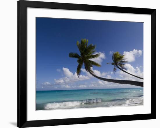 Fakarawa, Tuamotu Archipelago, French Polynesia, Pacific Islands, Pacific-Sergio Pitamitz-Framed Photographic Print