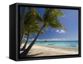 Fakarawa, Tuamotu Archipelago, French Polynesia, Pacific Islands, Pacific-Sergio Pitamitz-Framed Stretched Canvas