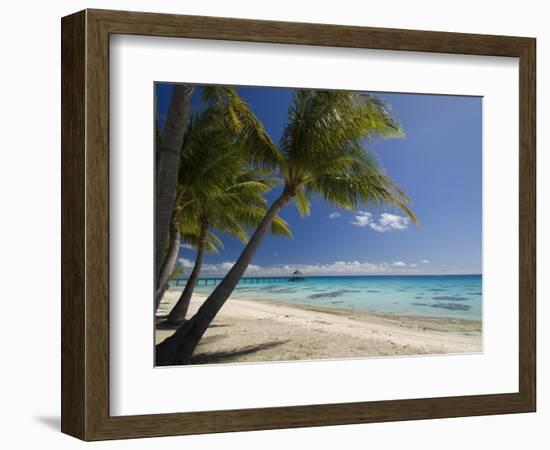 Fakarawa, Tuamotu Archipelago, French Polynesia, Pacific Islands, Pacific-Sergio Pitamitz-Framed Photographic Print