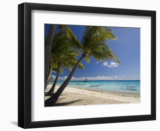 Fakarawa, Tuamotu Archipelago, French Polynesia, Pacific Islands, Pacific-Sergio Pitamitz-Framed Photographic Print