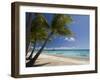 Fakarawa, Tuamotu Archipelago, French Polynesia, Pacific Islands, Pacific-Sergio Pitamitz-Framed Photographic Print