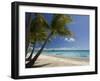 Fakarawa, Tuamotu Archipelago, French Polynesia, Pacific Islands, Pacific-Sergio Pitamitz-Framed Photographic Print