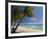 Fakarawa, Tuamotu Archipelago, French Polynesia, Pacific Islands, Pacific-Sergio Pitamitz-Framed Photographic Print