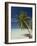 Fakarawa, Tuamotu Archipelago, French Polynesia, Pacific Islands, Pacific-Sergio Pitamitz-Framed Photographic Print