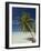 Fakarawa, Tuamotu Archipelago, French Polynesia, Pacific Islands, Pacific-Sergio Pitamitz-Framed Photographic Print