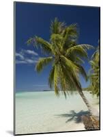 Fakarawa, Tuamotu Archipelago, French Polynesia, Pacific Islands, Pacific-Sergio Pitamitz-Mounted Photographic Print