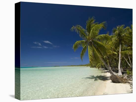 Fakarawa, Tuamotu Archipelago, French Polynesia, Pacific Islands, Pacific-Sergio Pitamitz-Stretched Canvas