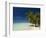 Fakarawa, Tuamotu Archipelago, French Polynesia, Pacific Islands, Pacific-Sergio Pitamitz-Framed Photographic Print