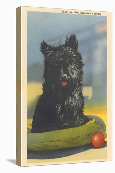 Fala, Roosevelt's Scottie Dog-null-Stretched Canvas