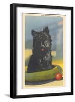 Fala, Roosevelt's Scottie Dog-null-Framed Art Print