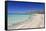 Falassarna Beach, Falassarna, Chania (Khania), Crete, Greek Islands, Greece, Europe-Markus Lange-Framed Stretched Canvas