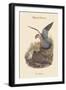 Falco Aesalon - Merlin Falcon-John Gould-Framed Art Print