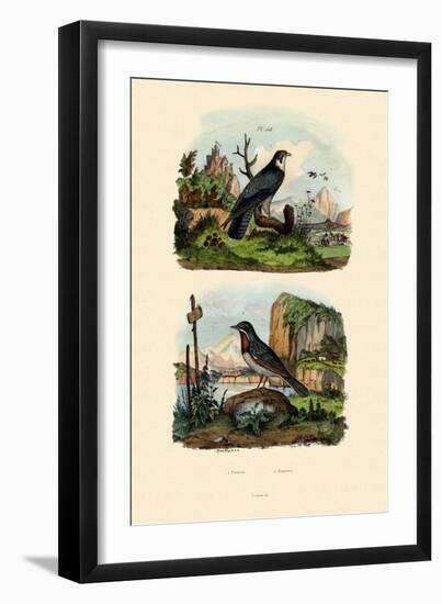 Falcon, 1833-39-null-Framed Giclee Print