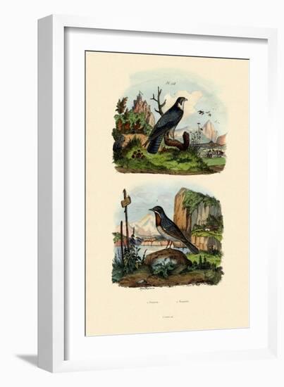 Falcon, 1833-39-null-Framed Giclee Print