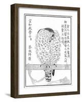 Falcon, 1886-null-Framed Giclee Print