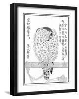 Falcon, 1886-null-Framed Giclee Print