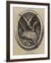 Falcon and Mallard-null-Framed Giclee Print