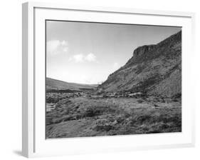 Falcon Clints-null-Framed Photographic Print