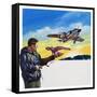 Falcon Flight-Wilf Hardy-Framed Stretched Canvas