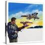 Falcon Flight-Wilf Hardy-Stretched Canvas