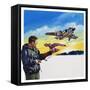 Falcon Flight-Wilf Hardy-Framed Stretched Canvas