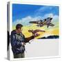 Falcon Flight-Wilf Hardy-Stretched Canvas