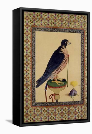 Falcon, from a Moraqqa-null-Framed Stretched Canvas
