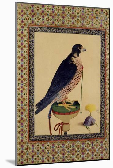 Falcon, from a Moraqqa-null-Mounted Giclee Print