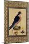 Falcon, from a Moraqqa-null-Mounted Giclee Print