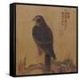 Falcon on a Pine Limb, Emperor Xuande, circa 1426-1435-null-Framed Stretched Canvas