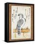Falcon Tethered to Perch on Vertical Roll-null-Framed Stretched Canvas