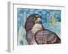 Falcon-Oxana Zaika-Framed Giclee Print