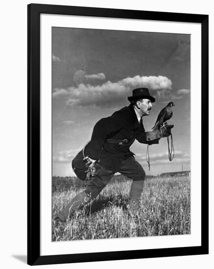 Falconry: Advancing-null-Framed Photographic Print