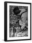 Falconry: Feeding-null-Framed Photographic Print