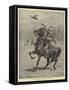 Falconry in Afghanistan-John Charlton-Framed Stretched Canvas