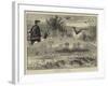 Falconry in England-null-Framed Giclee Print