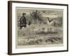 Falconry in England-null-Framed Giclee Print