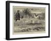 Falconry in England-null-Framed Giclee Print