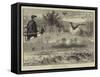 Falconry in England-null-Framed Stretched Canvas