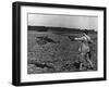 Falconry: Reeling In-null-Framed Photographic Print