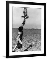 Falconry: the Release-null-Framed Photographic Print