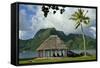 Faleo'o on the shore, Pago Pago, Tutuila Island, American Samoa.-Jerry Ginsberg-Framed Stretched Canvas