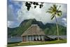 Faleo'o on the shore, Pago Pago, Tutuila Island, American Samoa.-Jerry Ginsberg-Mounted Photographic Print