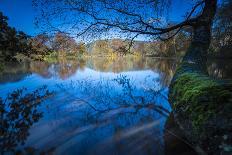 Autumn Mood in a Lake-Falk Hermann-Photographic Print